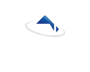 the towing network logo